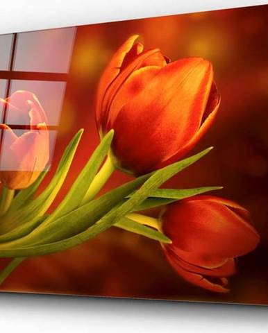 Skleněný obraz Insigne Tulips