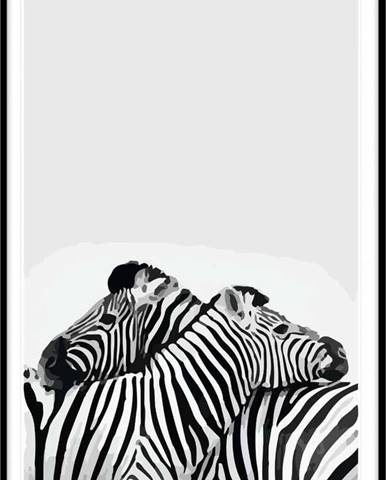 Obraz Piacenza Art Two Zebra, 30 x 20 cm