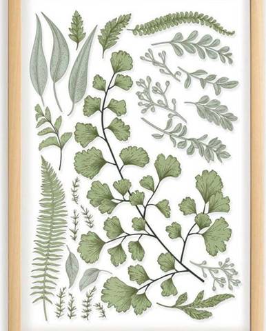 Obraz s rámem z borovicového dřeva Surdic Leafes Collection, 50 x 70 cm