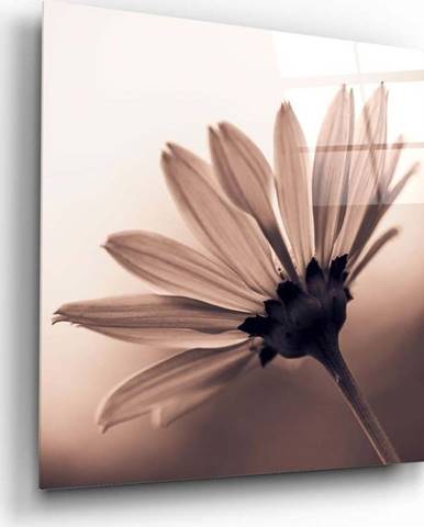 Skleněný obraz Insigne Flower, 40 x 40 cm
