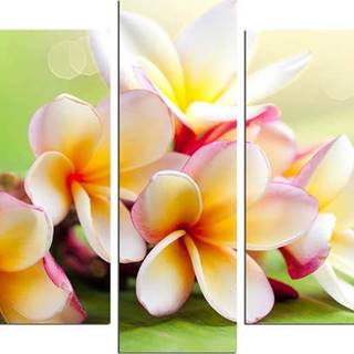Vícedílný obraz Flower And Green Colour, 110 x 60 cm