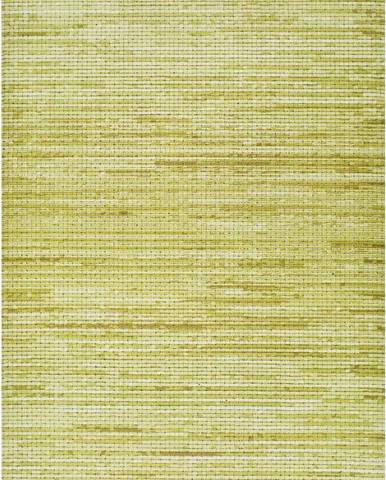 Zelený venkovní koberec Universal Vision, 160 x 230 cm