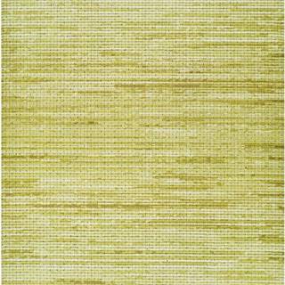 Zelený venkovní koberec Universal Vision, 66 x 200 cm