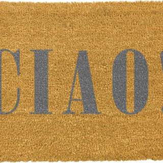 Rohožka z přírodního kokosového vlákna Artsy Doormats Ciao Grey, 40 x 60 cm