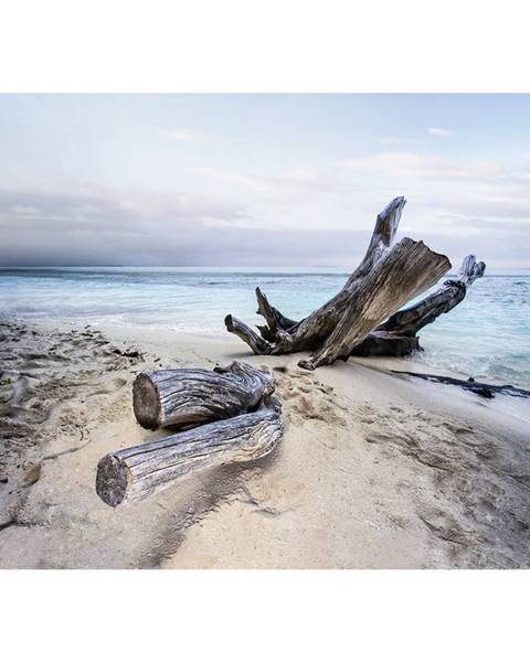 Monee Monee OBRAZ NA SKLE, pláž & moře, 120/80 cm