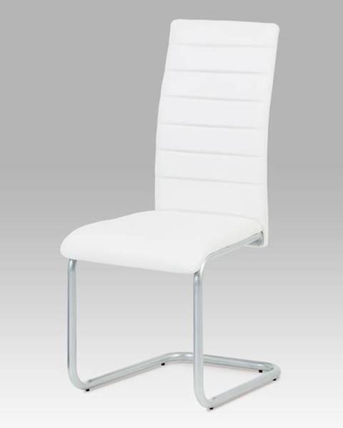 Smartshop Jídelní židle DCL-102 WT, bílá/šedý lak
