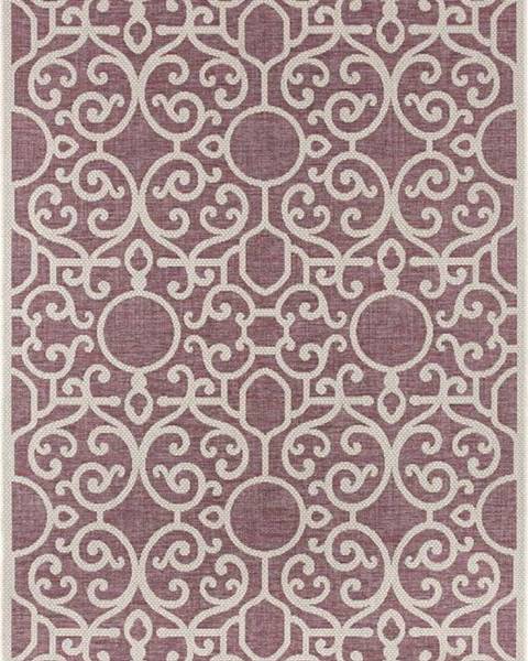Bougari Fialovo-béžový venkovní koberec NORTHRUGS Nebo, 200 x 290 cm