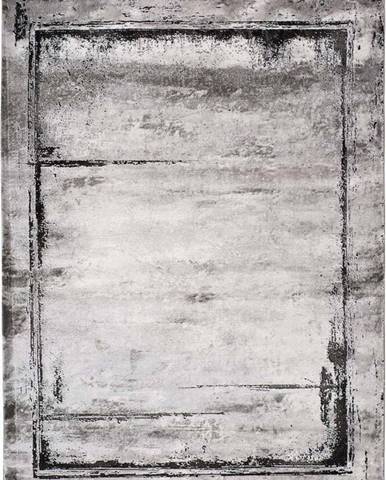 Šedý koberec Universal Artist, 120 x 170 cm