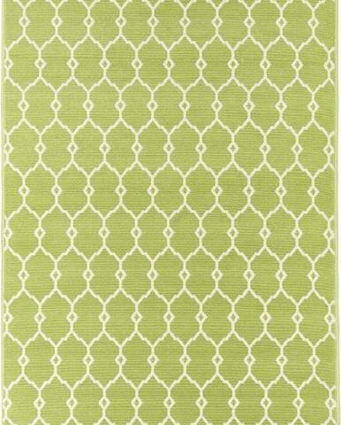 Zelený venkovní koberec Floorita Trellis, 160 x 230 cm