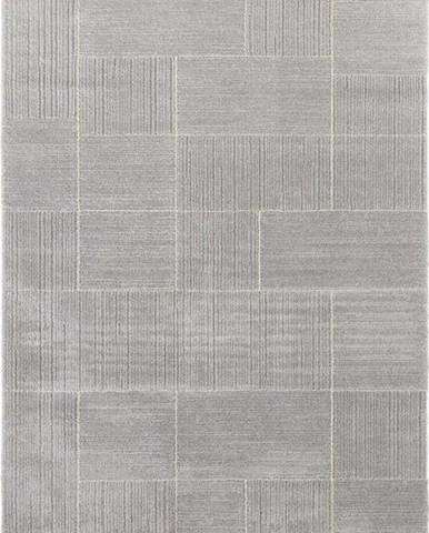 Světle šedý koberec Elle Decoration Glow Castres, 120 x 170 cm