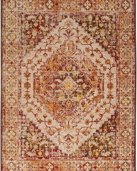 Universal Oranžový koberec Universal Caucas Multi, 200 x 290 cm