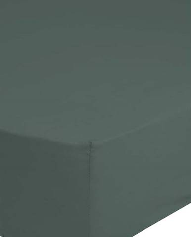 Tmavě zelené elastické prostěradlo z bavlněného saténu HIP, 180 x 200 cm