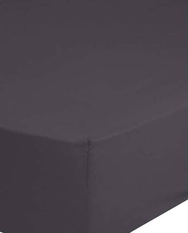 Tmavě šedé bavlněné elastické prostěradlo Good Morning, 160 x 200 cm