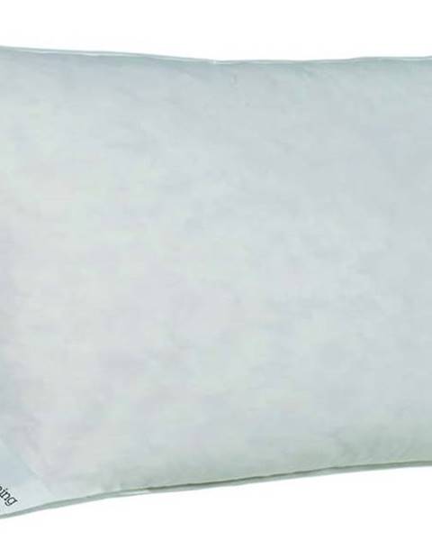 GOOD MORNING Bílý polštář s výplní z kachního peří Good Morning Duck, 40 x 80 cm