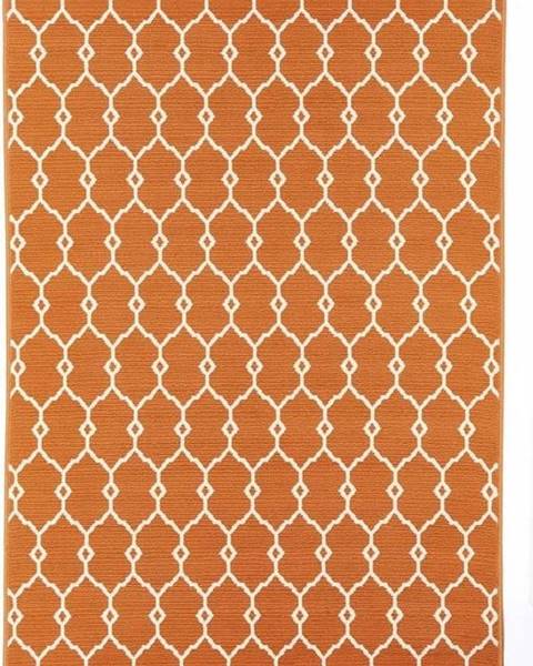 Floorita Oranžový venkovní koberec Floorita Trellis, 160 x 230 cm