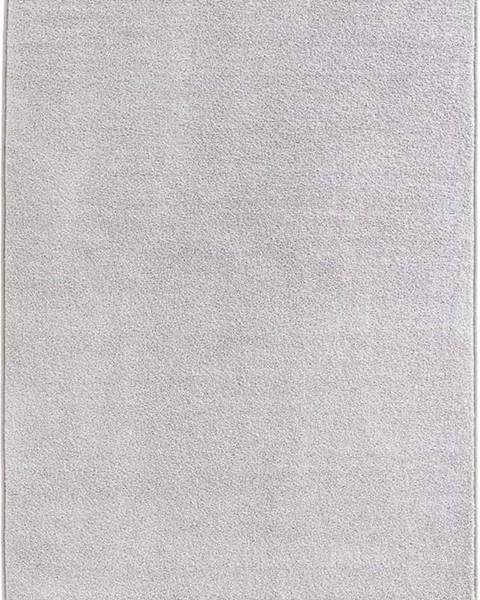 Hanse Home Světle šedý koberec Hanse Home Pure, 200 x 300 cm