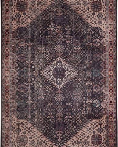 Hnědý koberec Floorita Bjdiar, 200 x 290 cm