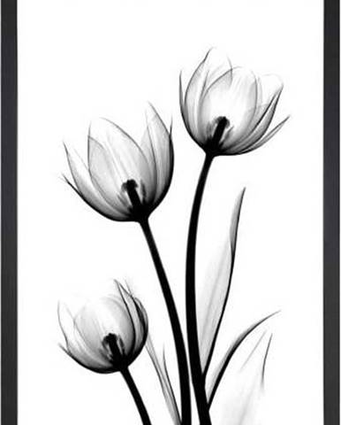 Plakát 23x28 cm Scented Flowery - Tablo Center