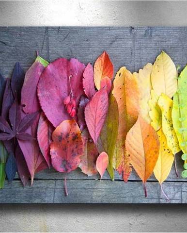 Obraz Tablo Center Autumn Palette, 100 x 70 cm