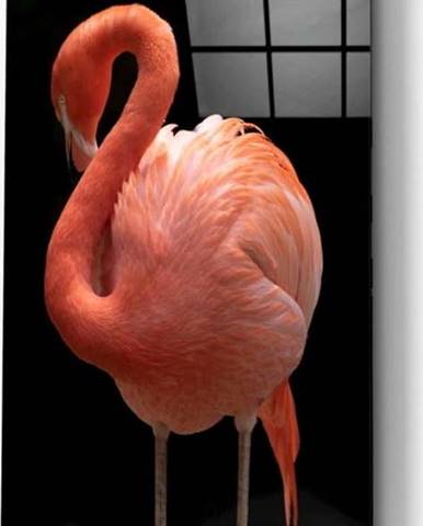 Skleněný obraz Insigne Flamingo