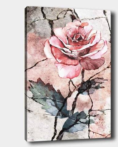 Nástěnný obraz na plátně Tablo Center Rose, 40 x 60 cm