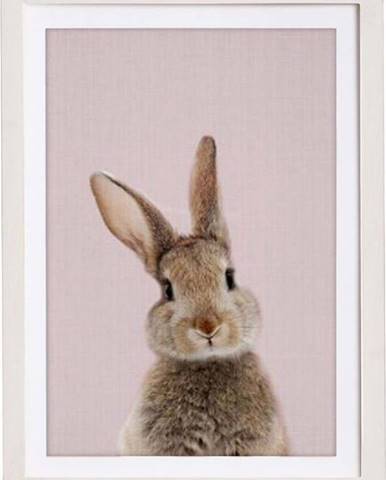 Nástěnný obraz v rámu Querido Bestiario Baby Rabbit, 30 x 40 cm