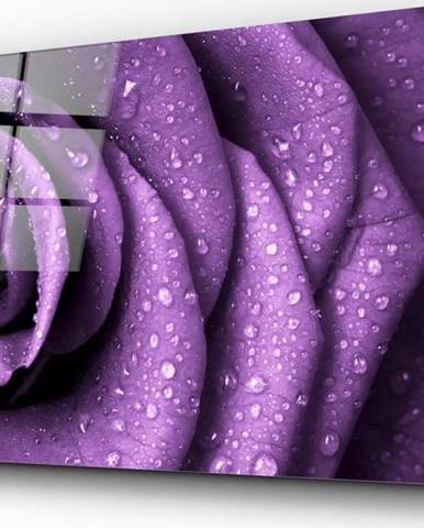 Skleněný obraz Insigne Purple Rose