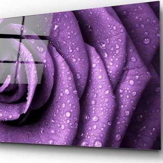 Skleněný obraz Insigne Purple Rose