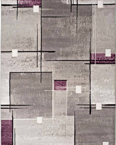 Universal Šedo-fialový koberec Universal Detroit, 200 x 290 cm