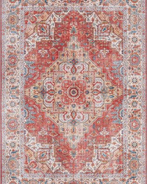 Nouristan Cihlově červený koberec Nouristan Sylla, 160 x 230 cm
