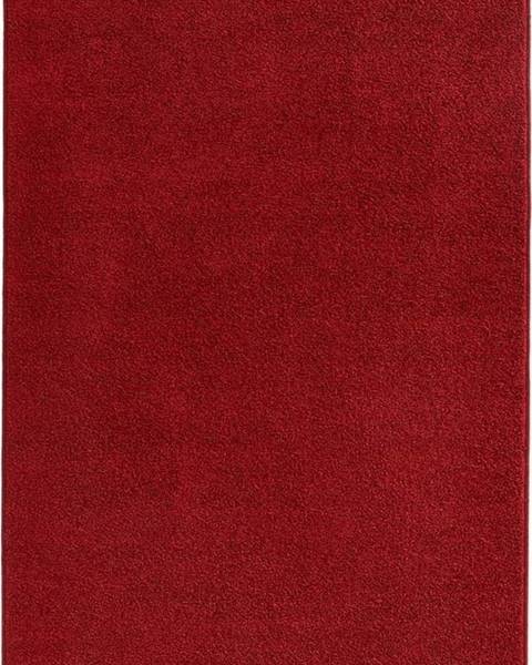Hanse Home Červený koberec Hanse Home Pure, 200 x 300 cm