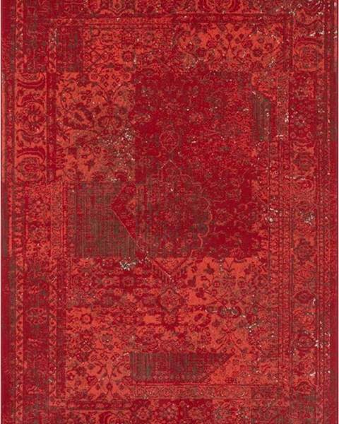 Hanse Home Červený koberec Hanse Home Celebration Plume, 160 x 230 cm