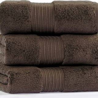 Sada 3 hnědých bavlněných ručníků L'appartement Chicago, 30 x 50 cm