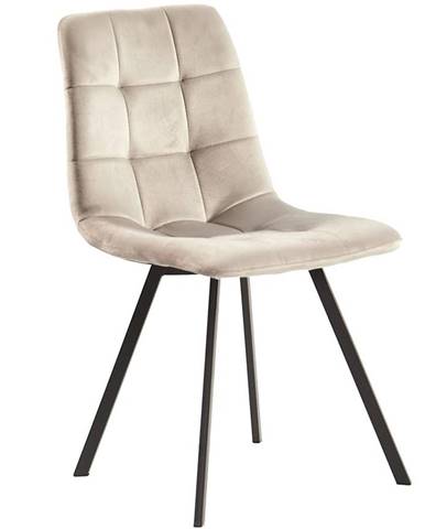 Židle Kazan Tc-1963 Grey