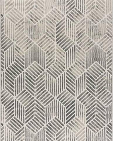 Tmavě šedý koberec Universal Sensation, 160 x 230 cm