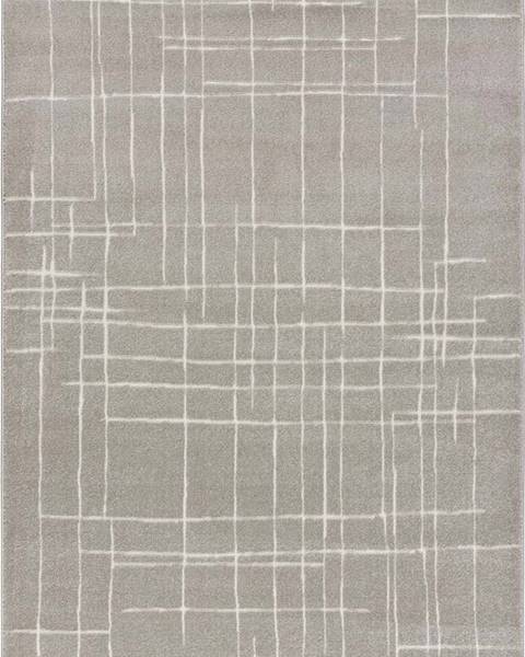 Šedý koberec Universal Sensation, 160 x 230 cm