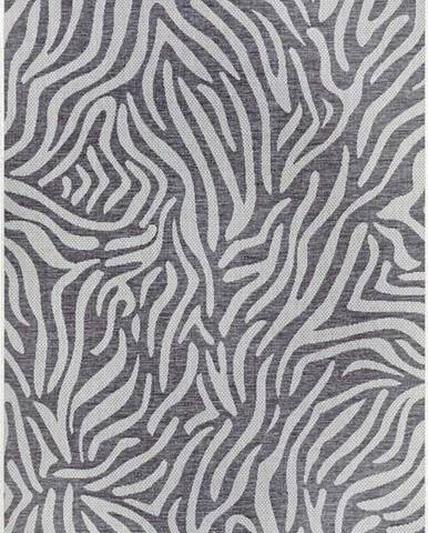 Šedo-béžový venkovní koberec NORTHRUGS Cebra, 160 x 230 cm