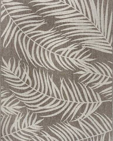 Hnědo-béžový venkovní koberec NORTHRUGS Palmera, 160 x 230 cm